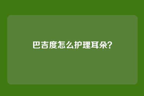 巴吉度怎么护理耳朵?