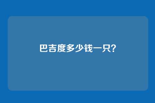 巴吉度多少钱一只?