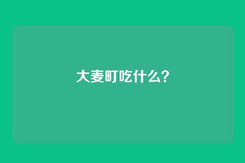 大麦町吃什么?
