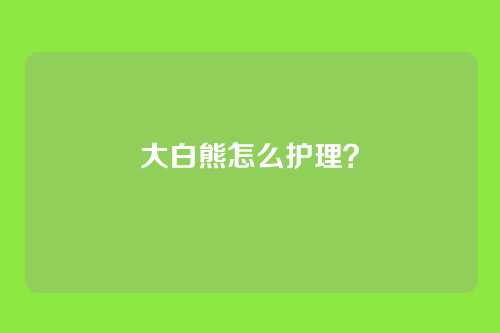 大白熊怎么护理?
