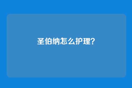 圣伯纳怎么护理?