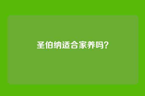圣伯纳适合家养吗？