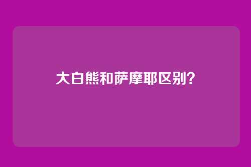 大白熊和萨摩耶区别?