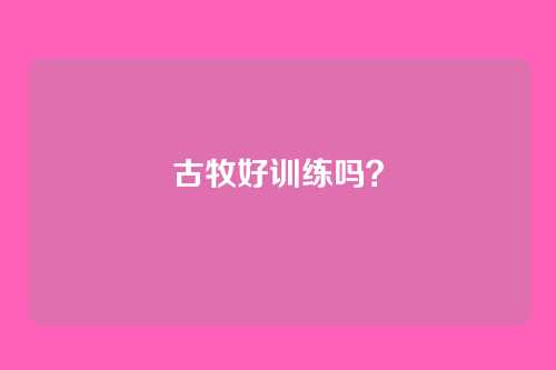 古牧好训练吗？