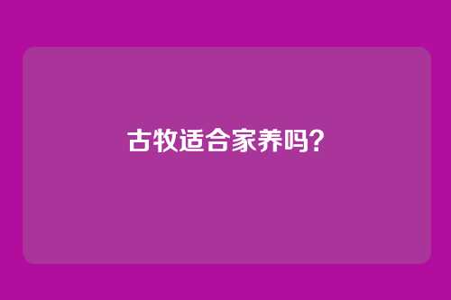 古牧适合家养吗？