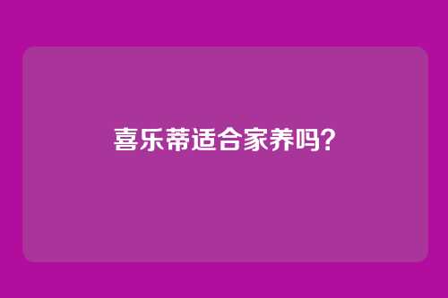 喜乐蒂适合家养吗?
