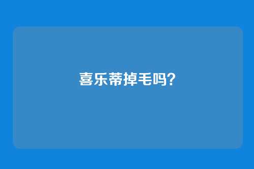 喜乐蒂掉毛吗？