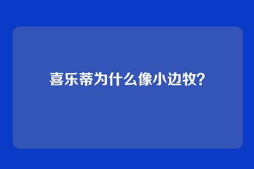 喜乐蒂为什么像小边牧？