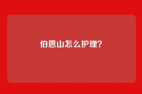 伯恩山怎么护理?