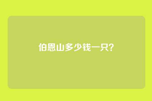伯恩山多少钱一只?