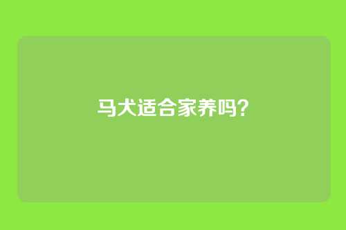 马犬适合家养吗?