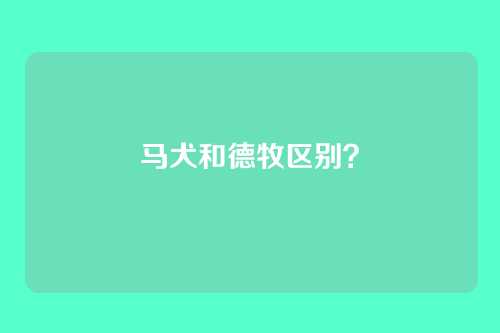 马犬和德牧区别?