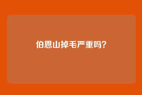 伯恩山掉毛严重吗?