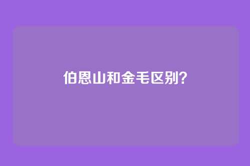 伯恩山和金毛区别?
