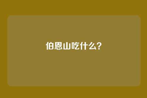 伯恩山吃什么?