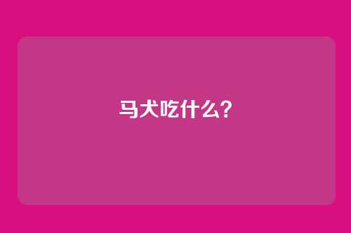 马犬吃什么?