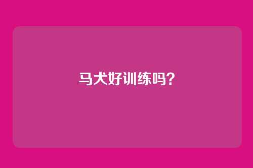 马犬好训练吗？