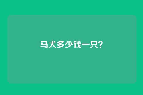 马犬多少钱一只？