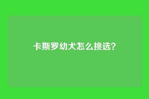 卡斯罗幼犬怎么挑选?