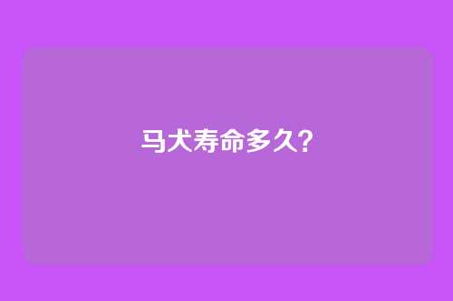 马犬寿命多久?