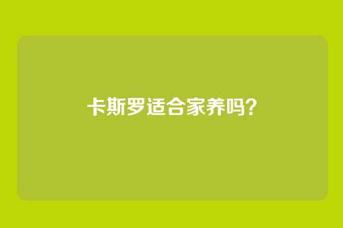 卡斯罗适合家养吗?