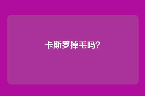 卡斯罗掉毛吗?