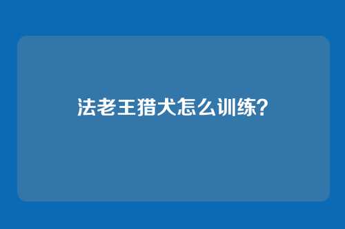 法老王猎犬怎么训练？