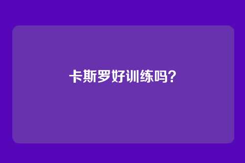卡斯罗好训练吗？