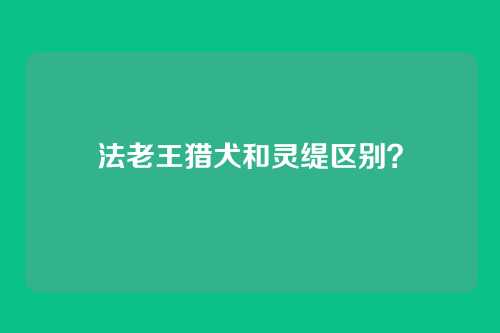 法老王猎犬和灵缇区别?