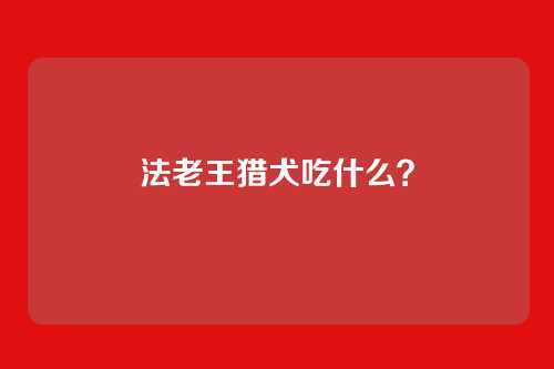 法老王猎犬吃什么?