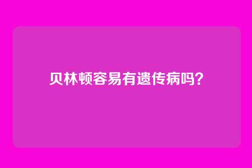 贝林顿容易有遗传病吗?