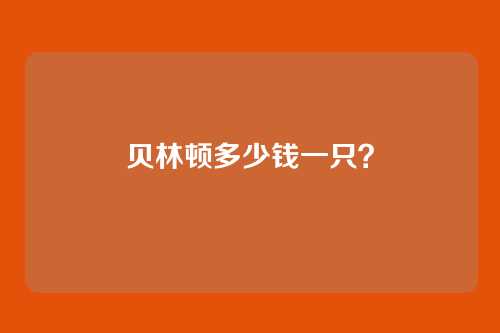 贝林顿多少钱一只？