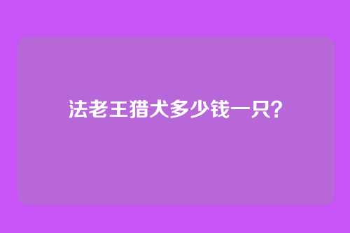 法老王猎犬多少钱一只?