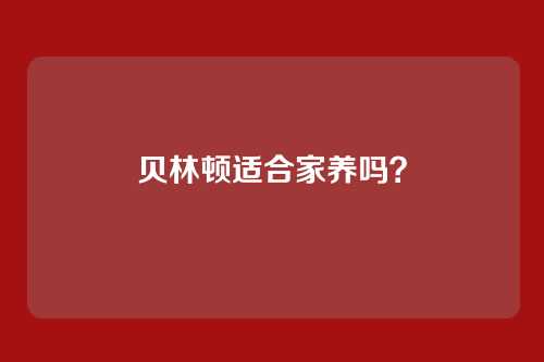 贝林顿适合家养吗?