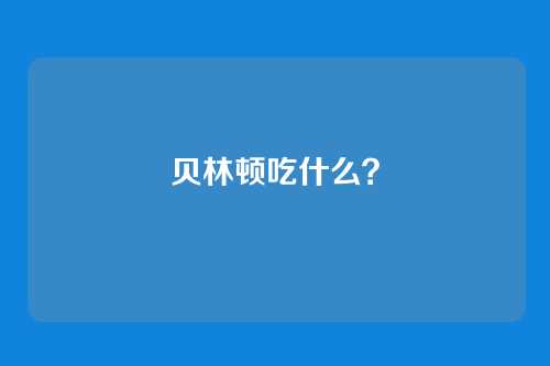 贝林顿吃什么?