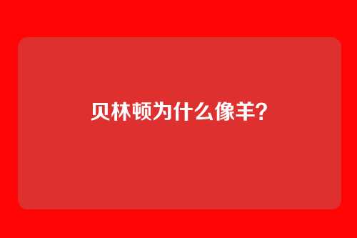 贝林顿为什么像羊?