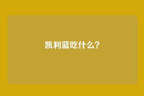 凯利蓝吃什么？