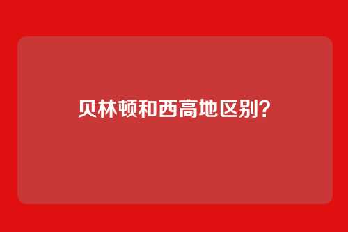 贝林顿和西高地区别?