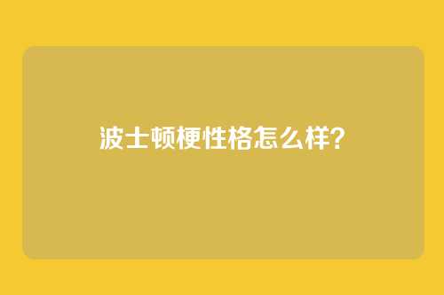 波士顿梗性格怎么样?