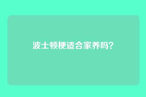 波士顿梗适合家养吗?