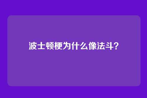 波士顿梗为什么像法斗？