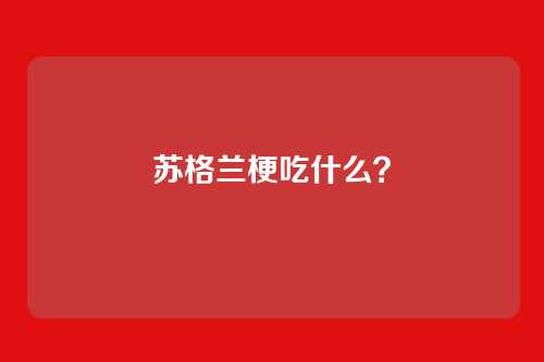 苏格兰梗吃什么？