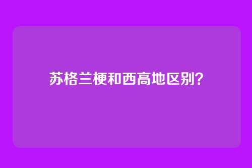 苏格兰梗和西高地区别?