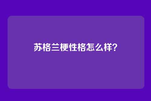 苏格兰梗性格怎么样?