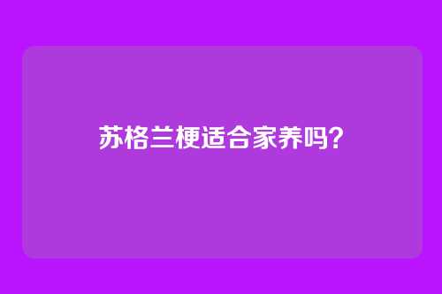 苏格兰梗适合家养吗?