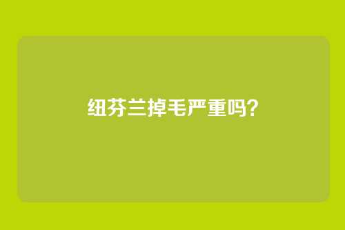 纽芬兰掉毛严重吗？