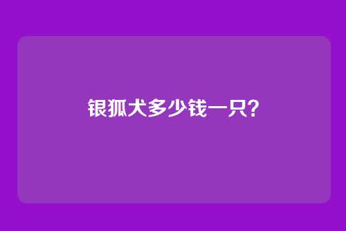 银狐犬多少钱一只?