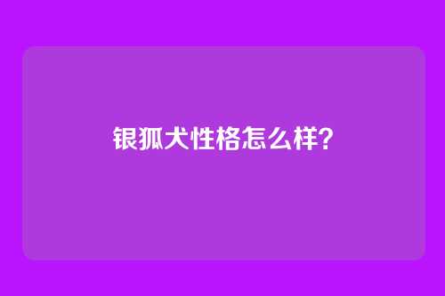 银狐犬性格怎么样?