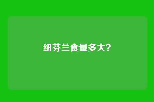 纽芬兰食量多大?