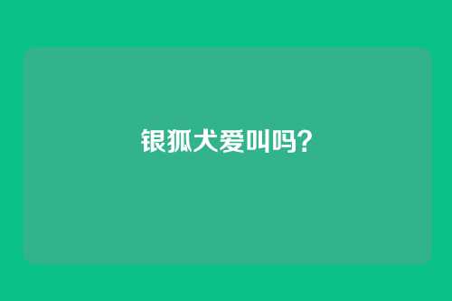 银狐犬爱叫吗？